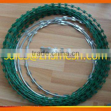 2.5mm*3.0mm Concertina Barbed Wire 10m