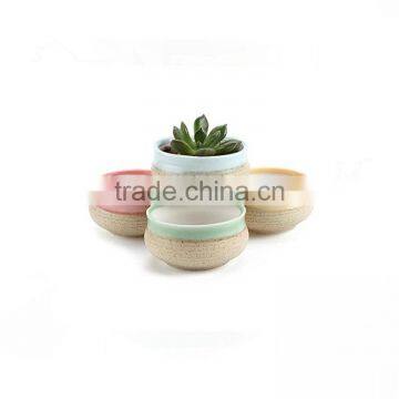 ceramic Cactus Plant Pot Flower Pot