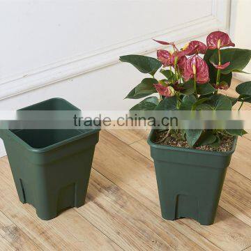 Chinese Rose Flower Pot