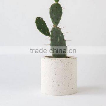 Round white concrete flower pots for garden series