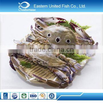 Wholesale Seafood Frozen Three Spot Crab photo-2