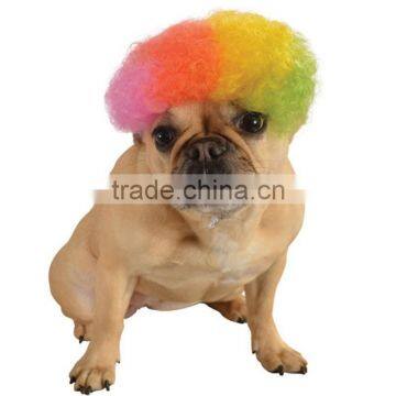 Rainbow Afro Pet Wig