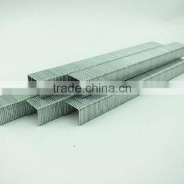 21GA 8005 Galvanized Staple photo-2