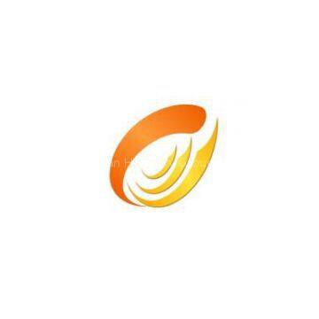 DongGuan Hawksky Group
