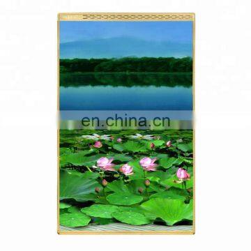 Wall Mounted Electric Heater Wall Heater for Home photo-2