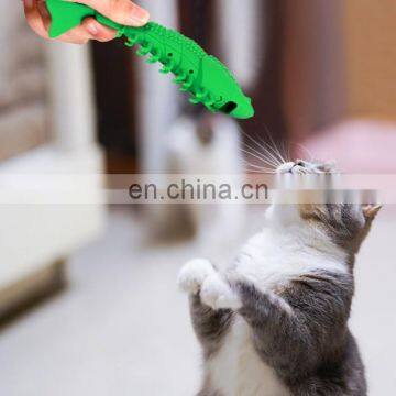 Amazon new pet cat toothbrush shrimp molar rod mint toy cat products