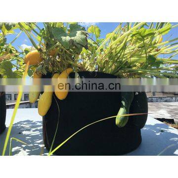 Non Woven Fabric Tomato Grow Bags, Geotextile Planting Grow Bags photo-3
