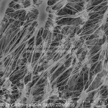 PTFE Membrane