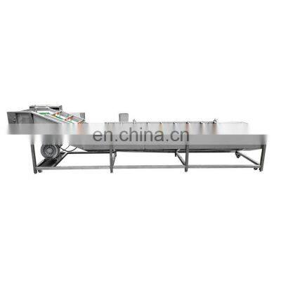 High Efficiency Industrial Avocado Washing Fruit washer price Vegetable Washing Machine