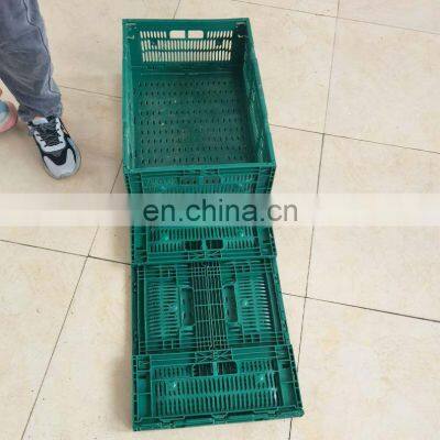 Supply Chain Heavy Duty Foldable Poultry Transportation Plastic Storage Crate