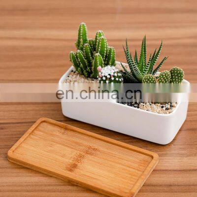 Best Selling Humanoid Succulent Giant White Planter Plant Indoor Drawing Big 1 Pot Ceramic