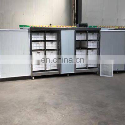 Stainless Steel Bean Soybean Peanut Mung Bean Sprout Machine photo-3