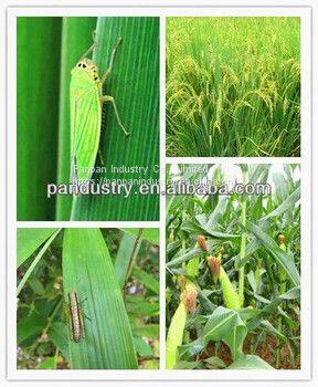 Hot Sale Pesticide Clothianidin Insecticid 50%wdg for Kill Pest Good Acaricide photo-3