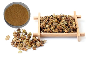 Tribulus terrestris extract