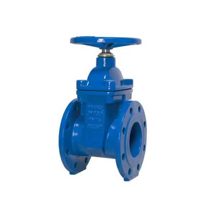 DI Ductile Iron Groove Joint Ends Rising Stem Resilient Seated Gate Valve