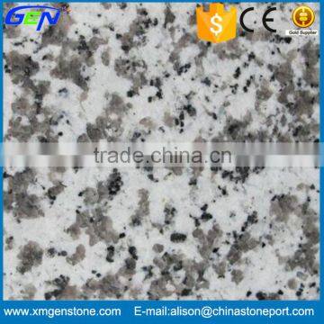 Wholesale Natural Polished G439 Granite Tiles 60x60