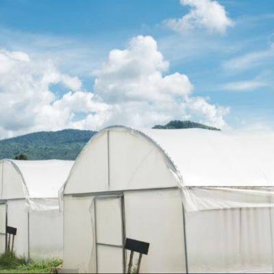Bestseller: Landwirtschaftliches Insektenschutznetz mit langer Lebensdauer für Gew?chsh?user