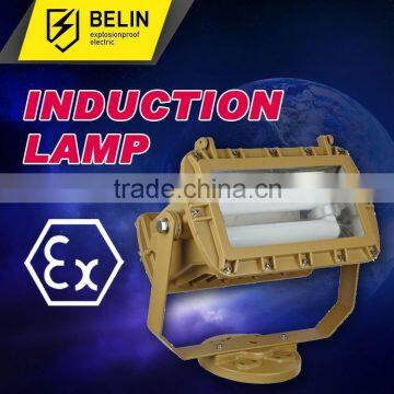 High Brightness Induction Tunnel Lights