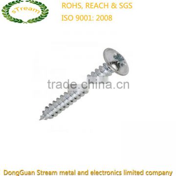 DIN, ANSI, JIS, ISO, GB Self-tapping Screw