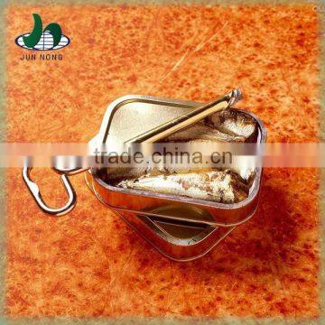 Canned Fish Factory sardine fish