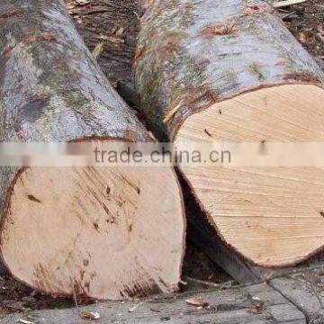 RUSSIAN Timber Log / Sawlogs /Wood Round Logs / Lumber /PINE / SPRUCE / LARCH / BIRCH