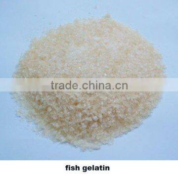 edible fish gelatin