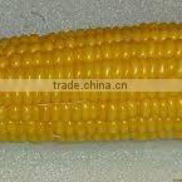 Yellow Corn