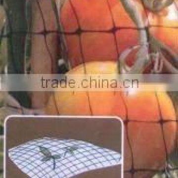 Agriculture Anti Bird Net