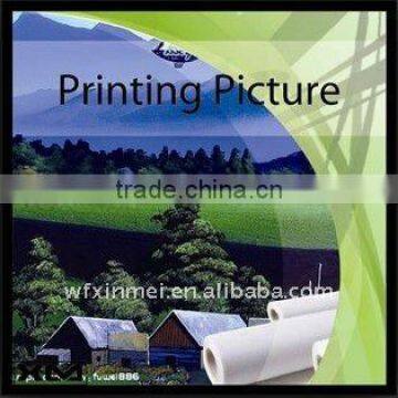 waterproof 100% cotton digital printing canvas