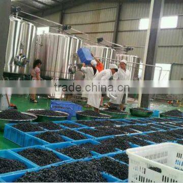 Blueberry Juice Processing Plant