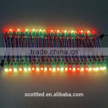 High bright IP68 12mm DC5V led pixel light string ws2801 50 node a string