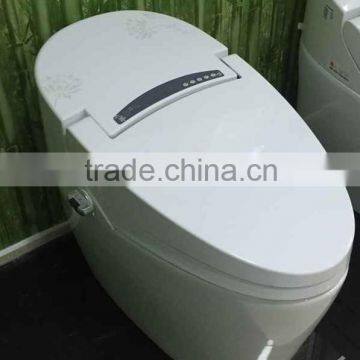 Warm water washing Automatic Operation Sanitary Ware Smart Toilet