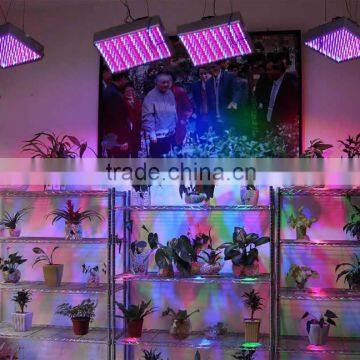 2015 Best Mini hydroponic led grow light factory                        
                                                Quality Choice