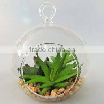 Made in China Home Decoration Hanging Glass Ball Succulent