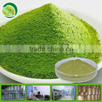 organic matcha green tea matcha powder