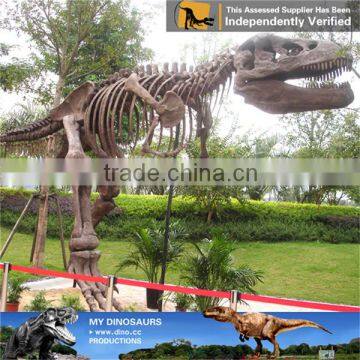 MY Dino-C021 Animated dinosaur fossil for sale