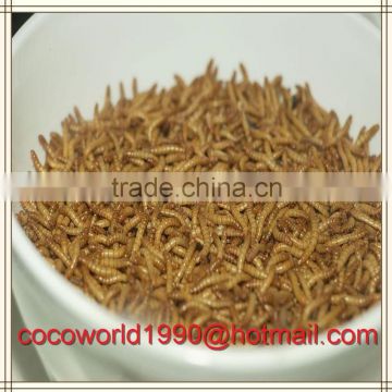 dried worm protein/dried mealworm of wild bird food/california worm