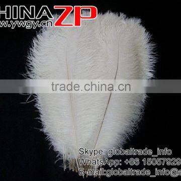 CHINAZP Trade Assurance Gold Supplier Size Frcom 20inch to 22inch White Ostrich Feather for Wedding Centerpiece photo-6