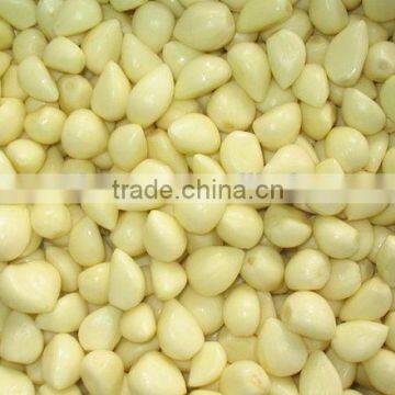 Dry Garlic Disc Machine/garlic Peeling Machine/garlic Skin Peeler/garlic Cutting Machine photo-5