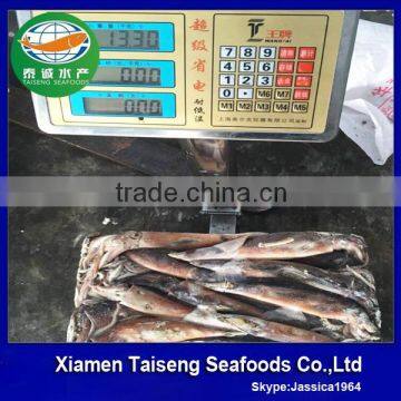 Fish Meal Illex Squid