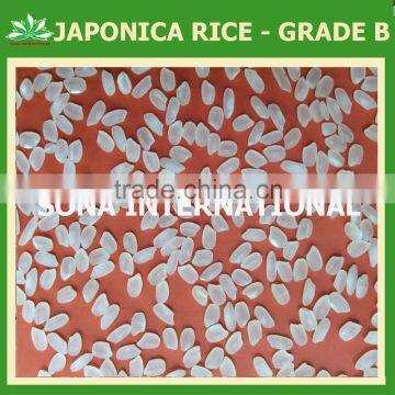 Japonica Rice - BEST RICE - VIETNAMESE RICE - VINARICE.VN