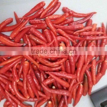 VIETNAM FRESH HOT CHILLI +84963818434 whatsapp