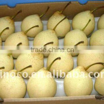 Supply Chinese Ya Pear Fruit