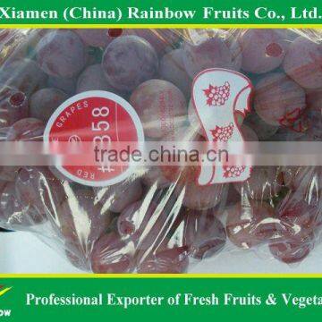 Fresh Sweet Red Grape for Export photo-6