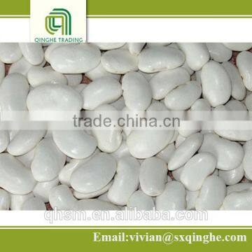 wholesale kidney beans, dry white beans