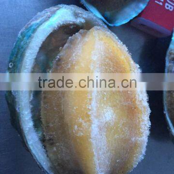 IQF Frozen Cooked Abalone with competitive price