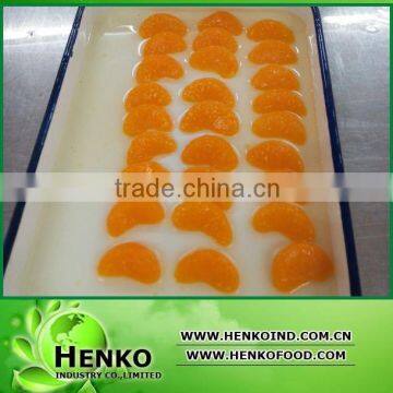 A10 canned orange in hot sell