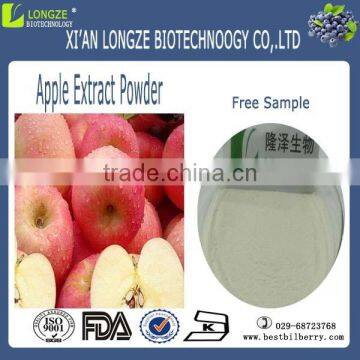 Good Water-soluble Apple Cider Vinegar Powder Total Acid 5%,8%,10% photo-2