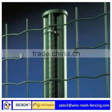 China professional supplier Euro Fence/Holland wire mesh /Wave mesh fence(PVC coated)