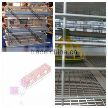 Automatic H Type Pullet Rearing Equipment 3tiers